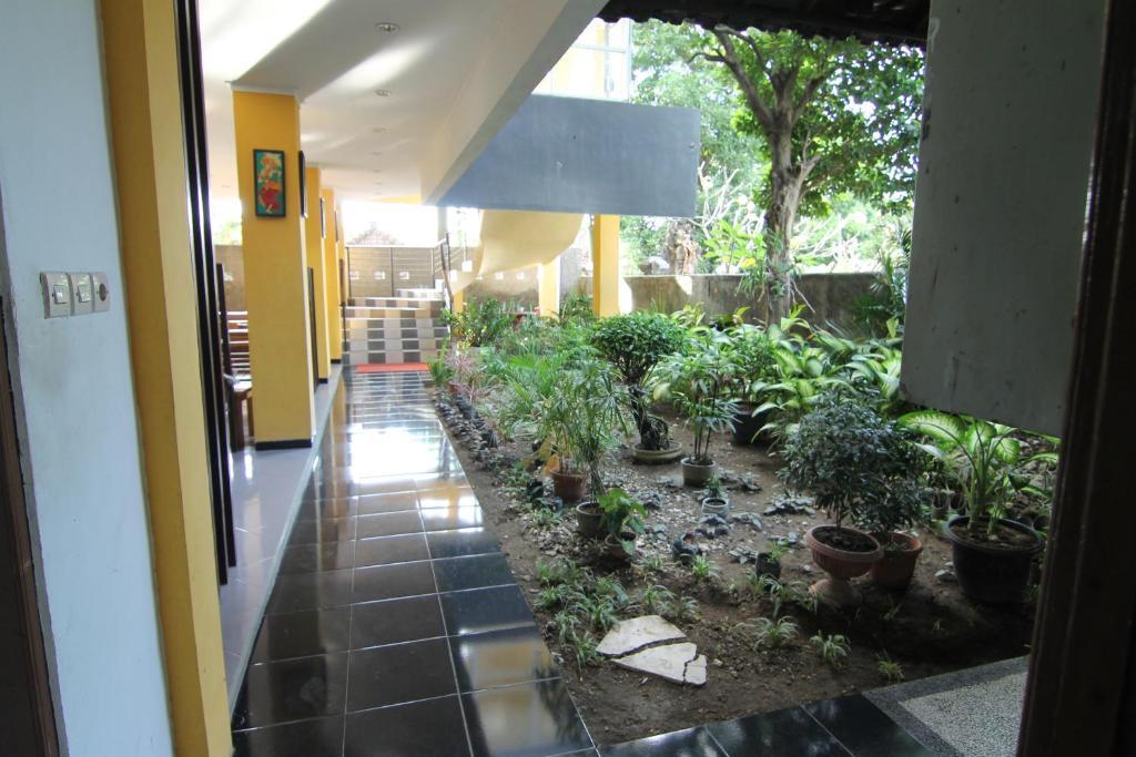 Ct1 Bali Bed & Breakfast Kuta Lombok Eksteriør bilde